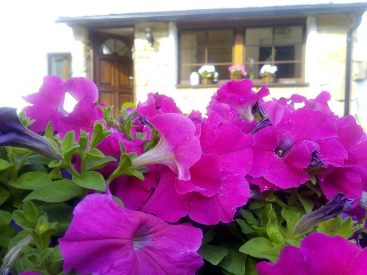 豪华帐篷 Trapani Glamping Camp *